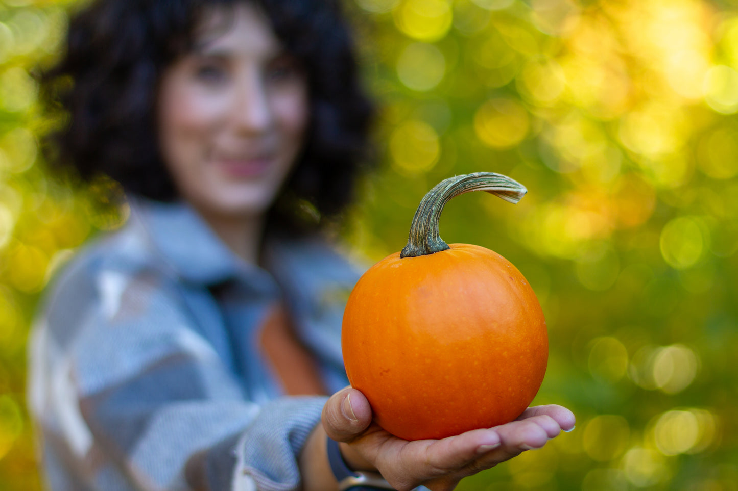 Pumpkin Recycling Without Package Purchase